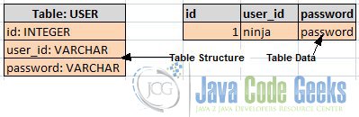 User Table and Sample Data