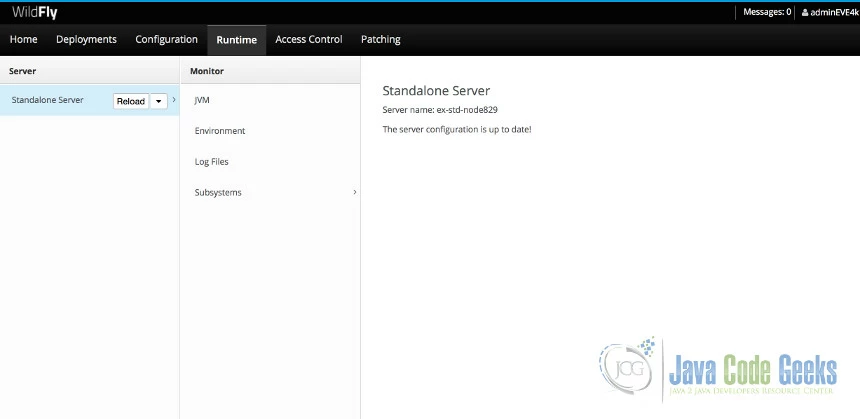 Standalone Server: Log file