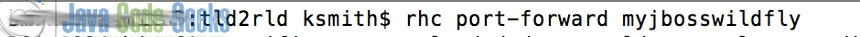 Port forward command to enter in command/terminal window