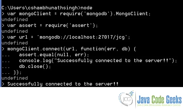 Fig 2 : Successful Connection to server