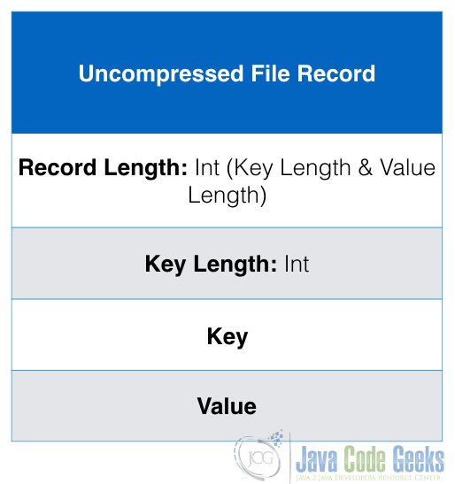 Uncompressed File Record Format