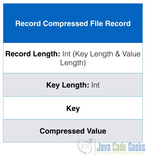 Record Compressed File Record Format
