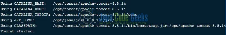 Fig. 2: Tomcat Output