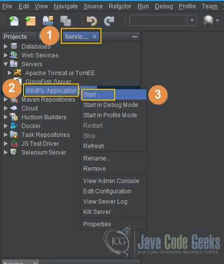 JBoss WildFly NetBeans - Start WildFly Server from within NetBeans