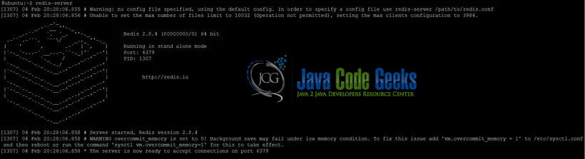 Redis Installation - Redis server start output