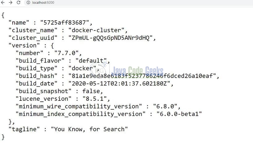 Docker Elasticsearch - Elasticsearch JSON info