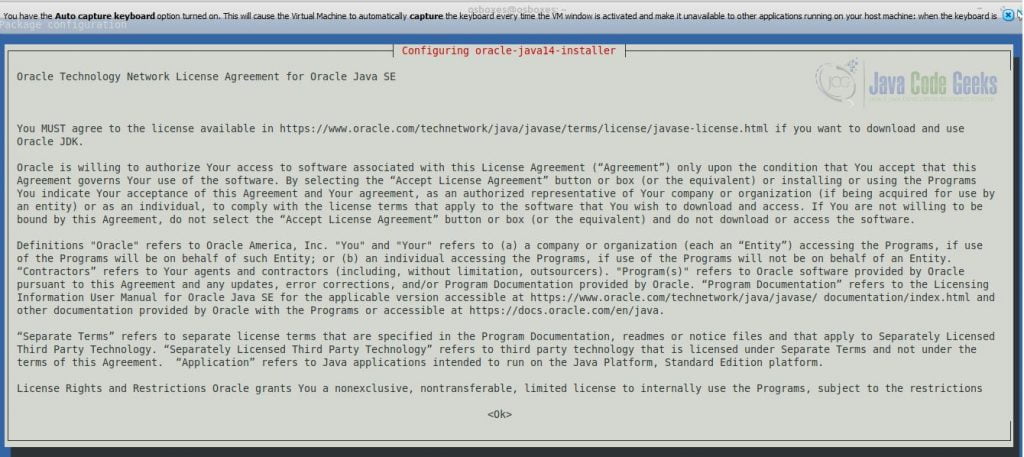 Oracle Java 14 License Agreement Window