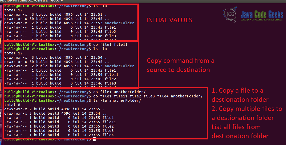 Cp Command Example