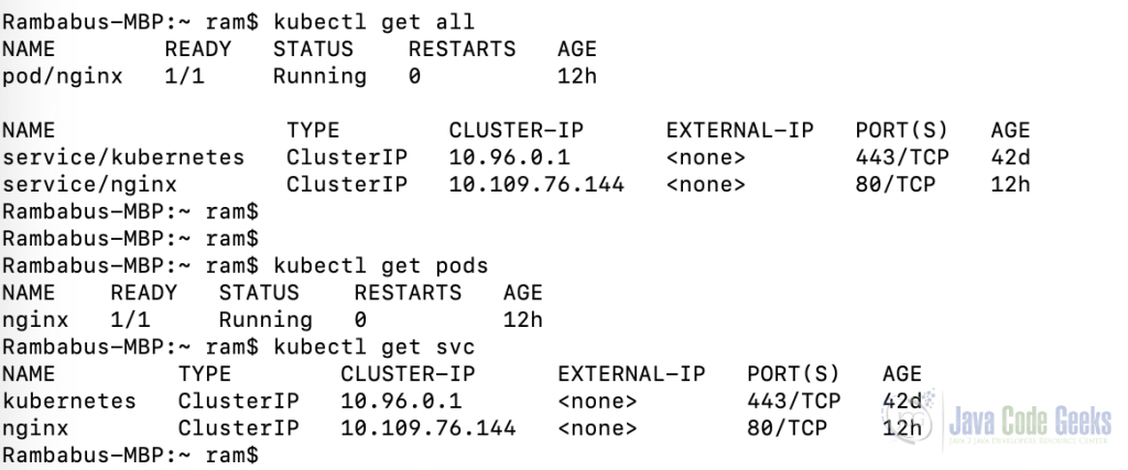 Fig-5:- The nginx Pod and Services status