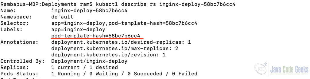 Fig-21:- Describe nginx ResultSet object