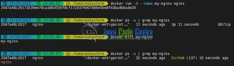 Fig. 2: Docker kill container command example