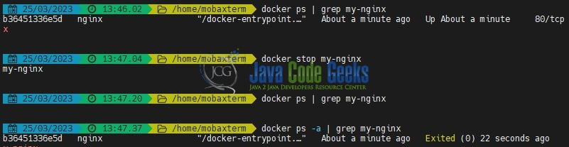 Fig. 1: Docker stop container command example