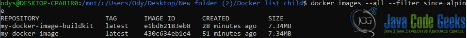 Fig. 4: Using docker images command.